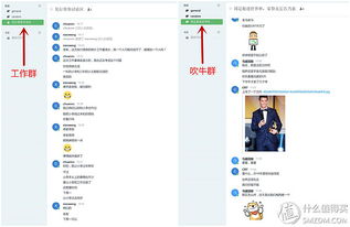 原創(chuàng)新人省小錢辦大事 群暉DS216 II網絡存儲NAS服務器搭建數據中心靠譜嗎？