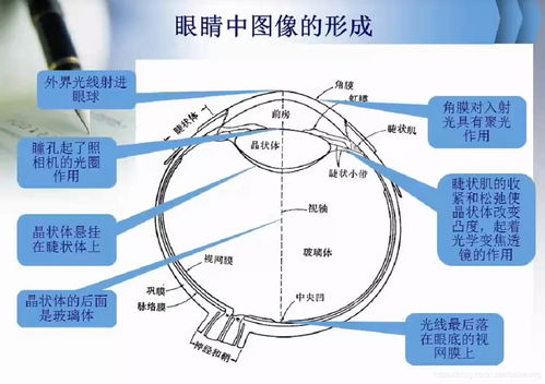 人工智能基礎(chǔ) 計(jì)算機(jī)視覺與圖像處理的核心課程